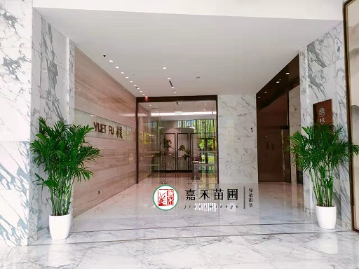 西安綠化花卉租擺|西安嘉禾苗圃 西安綠化花卉租擺|西安嘉禾苗圃