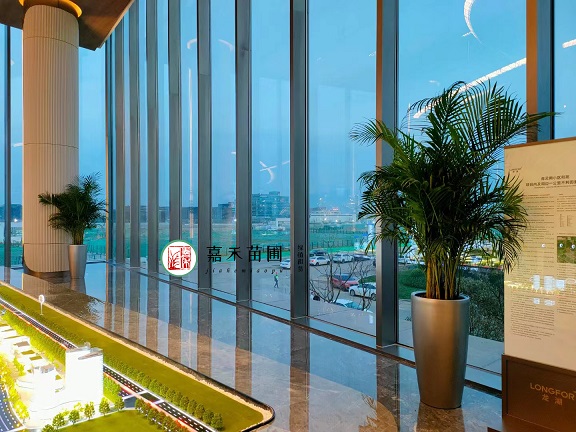 西安綠植租擺報(bào)價(jià)方案|西安嘉禾苗圃 西安綠植租擺報(bào)價(jià)方案|西安嘉禾苗圃