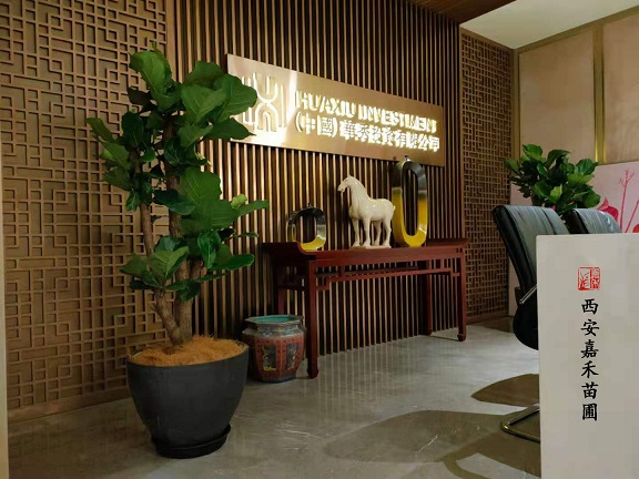 西安花卉租賃更是|西安嘉禾苗圃