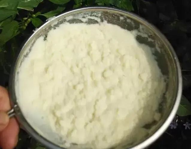 豆餅（渣）制作肥料|西安嘉禾苗圃