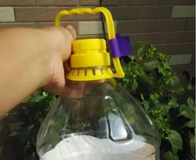 豆餅（渣）發(fā)酵方式|西安嘉禾苗圃