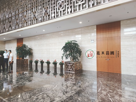 西安綠植租擺辦公樓|西安嘉禾苗圃