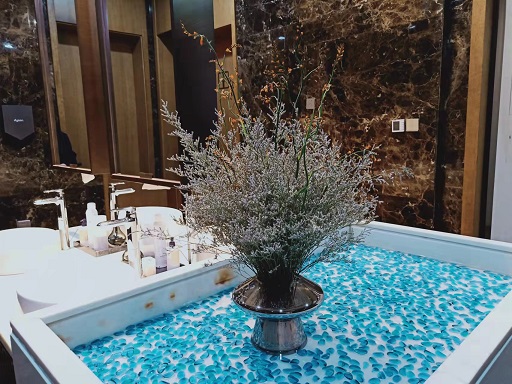 酒店花卉租賃桌擺|西安嘉禾苗圃