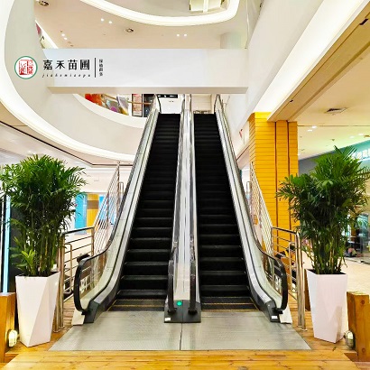 商場(chǎng)租擺花卉設(shè)計(jì)方案|西安嘉禾苗圃