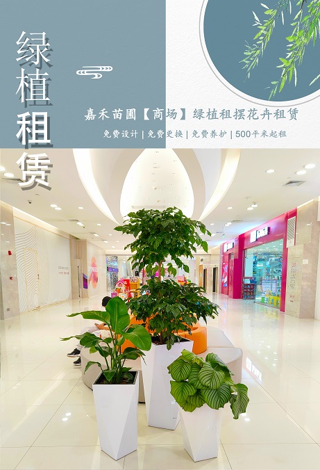 西安商場(chǎng)花卉綠植租賃公司|西安嘉禾苗圃