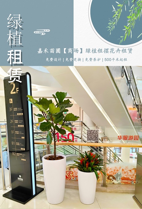 西安商場(chǎng)花卉綠植租賃商家|西安嘉禾苗圃