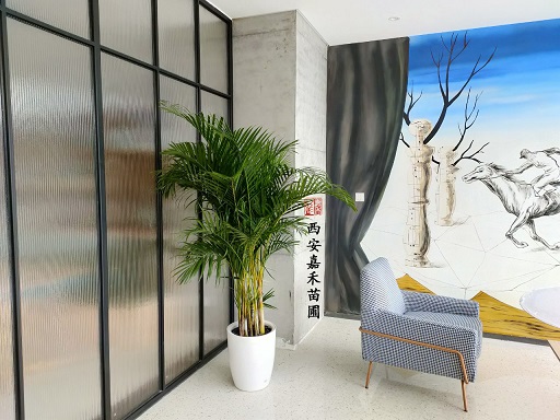 辦公區(qū)域花卉綠植租擺|西安嘉禾苗圃 辦公區(qū)域花卉綠植租擺|西安嘉禾苗圃