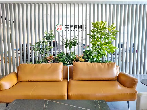 西安辦公室綠植租擺|西安嘉禾苗圃