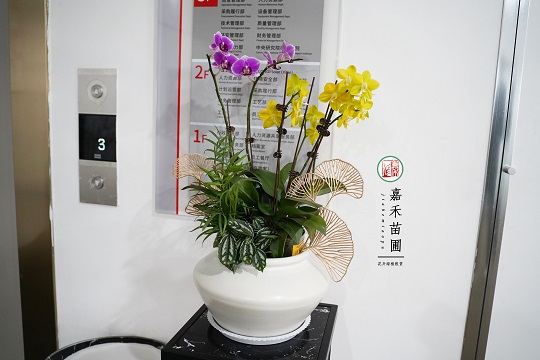 西安植物租賃公司|西安嘉禾苗圃