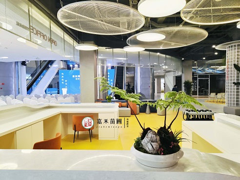 西安花卉綠植租賃公司|西安嘉禾苗圃 西安花卉綠植租賃公司|西安嘉禾苗圃