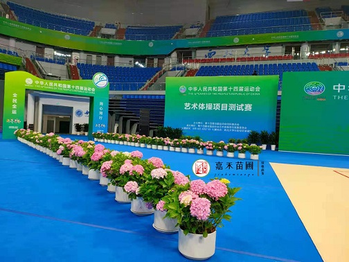 西安花卉租擺推薦|西安嘉禾苗圃