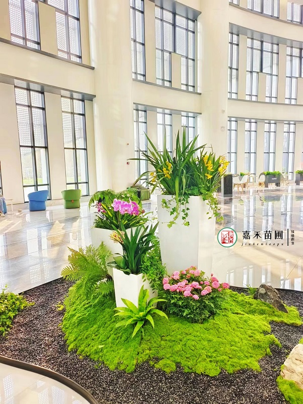 綠植造景施工|西安嘉禾苗圃