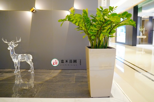 西安大明宮綠植租賃|西安嘉禾苗圃