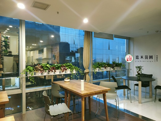 休息區(qū)綠植租賃|西安嘉禾苗圃 休息區(qū)綠植租賃|西安嘉禾苗圃