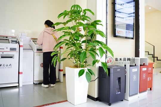 西安綠植租賃公司:西安嘉禾苗圃 西安綠植租賃公司:西安嘉禾苗圃