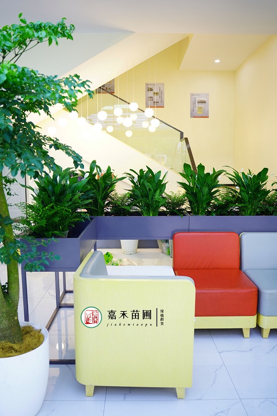 西安銀行綠植租擺:西安嘉禾苗圃 西安銀行綠植租擺:西安嘉禾苗圃