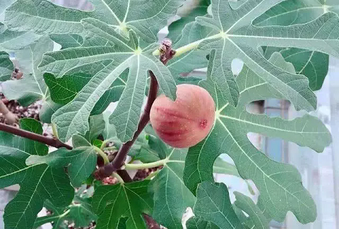 /UploadFiles/image/2024-12-14/675ce600e112f.png 640.png