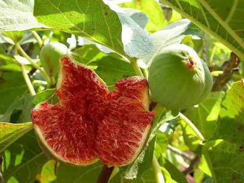 /UploadFiles/image/2024-12-14/675ce6325cf38.png 640 (1).png