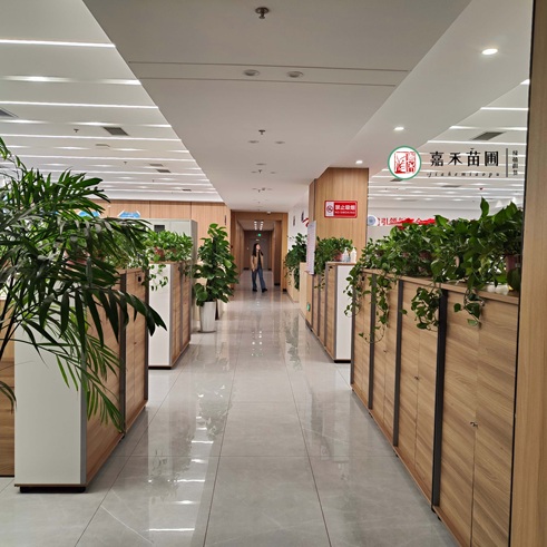 西安辦公室綠植租賃公司|西安嘉禾苗圃