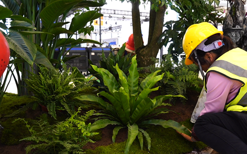 西安植物造景現(xiàn)場|西安嘉禾苗圃 西安植物造景現(xiàn)場|西安嘉禾苗圃