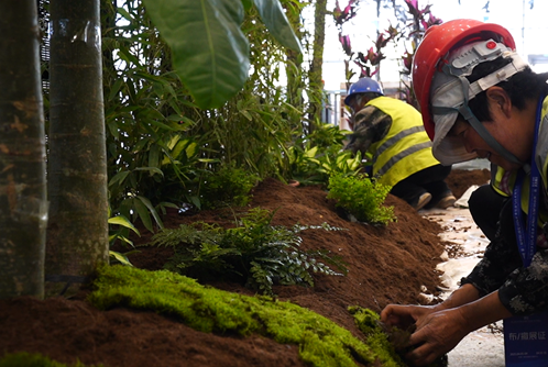 西安植物造景布置|西安嘉禾苗圃 西安植物造景布置|西安嘉禾苗圃