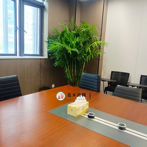 西安單位綠植租賃|西安嘉禾苗圃