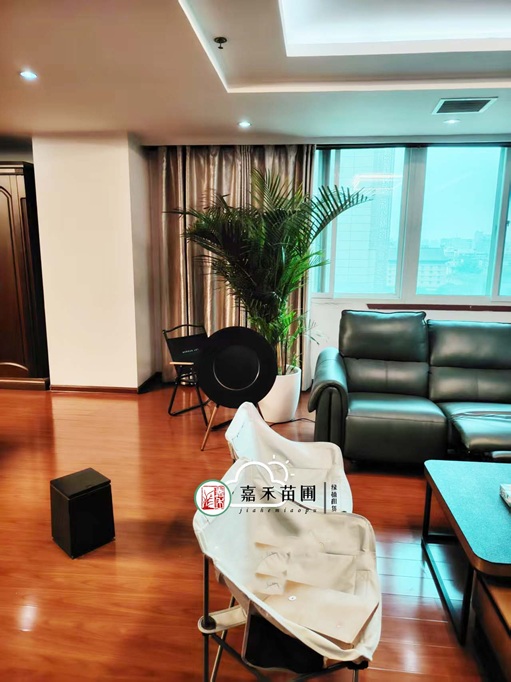 西安綠植租賃供應(yīng)商|西安嘉禾苗圃 西安綠植租賃供應(yīng)商|西安嘉禾苗圃