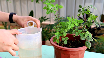 /UploadFiles/image/2025-12-04/69312bb453aa8.png 640.png