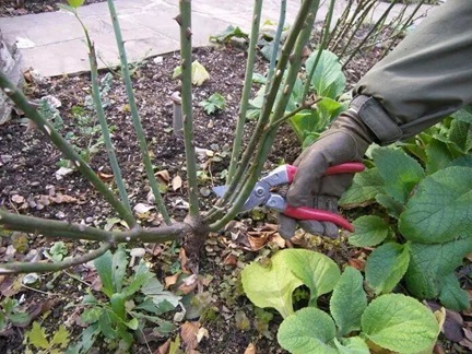 /UploadFiles/image/2025-12-04/69312bbf19a5d.jpg 640.jpg