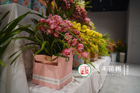 西安花卉租賃電話|西安嘉禾苗圃15202909185 西安花卉租賃電話|西安嘉禾苗圃15202909185