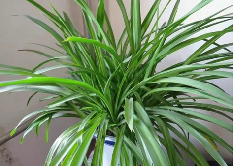 /UploadFiles/image/2025-12-20/69464c0d1599c.png QQ20251220-150818.png